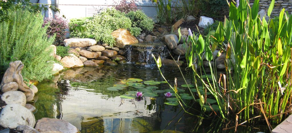 Practical Water Gardens